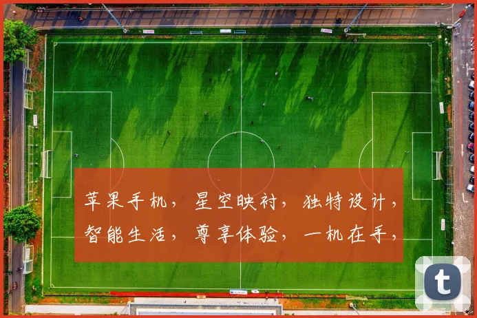 苹果手机，星空映衬，独特设计，智能生活，尊享体验，一机在手，星河为伴。