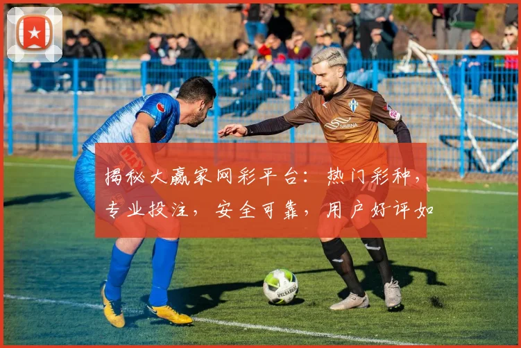 揭秘大赢家网彩平台：热门彩种，专业投注，安全可靠，用户好评如潮，必看攻略