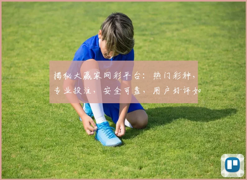 揭秘大赢家网彩平台：热门彩种，专业投注，安全可靠，用户好评如潮，必看攻略